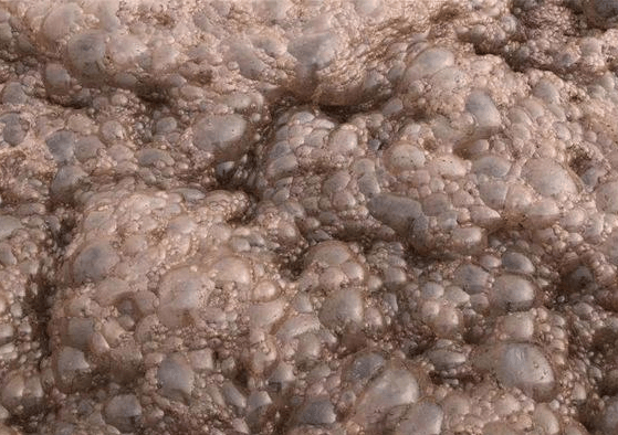 （圖：污水泡沫）